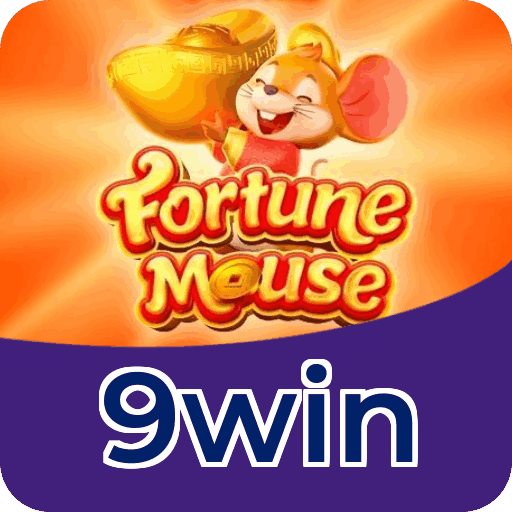 Métodos de pagamento aceitos na 9win